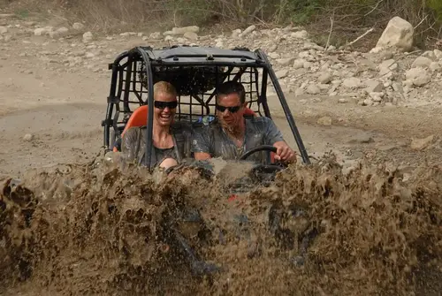 buggy